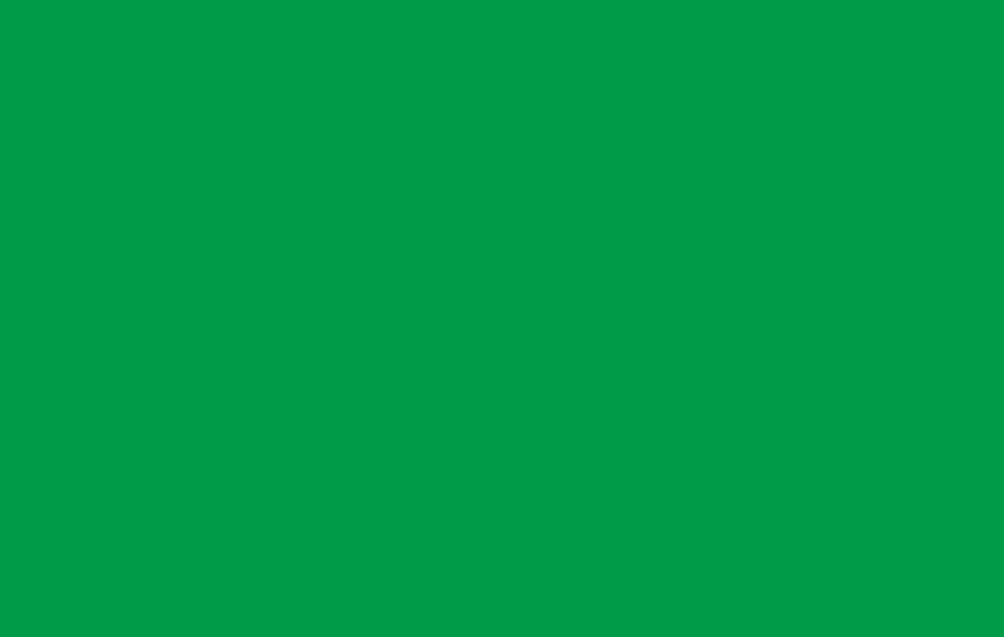Green PMS 343